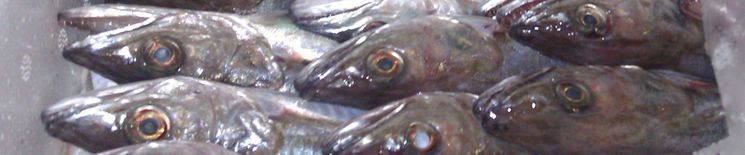 IMAG0205.jpg